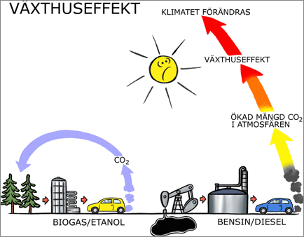 v&auml;xthuseffekt-milj&ouml;kompetens