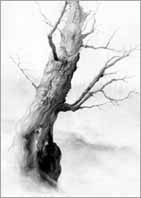 KLICKA F&Ouml;R TR&Auml;D!!