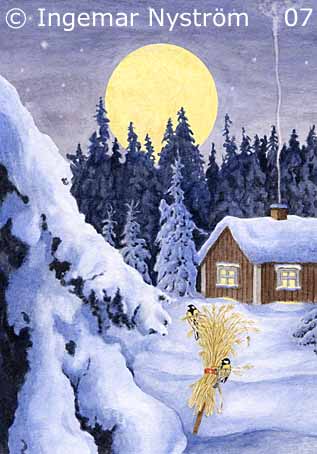 Julkort VI-skogen 2007