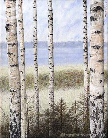 Bj&ouml;rkstammar II