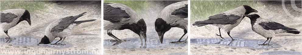 M&ouml;te vid vattenp&ouml;l