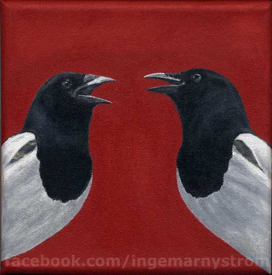 skata skator magpies