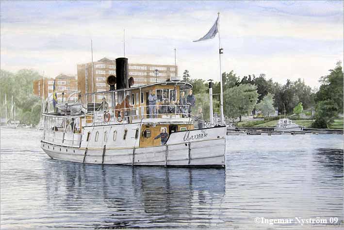 s/s ejdern p&aring; ing&aring;ng